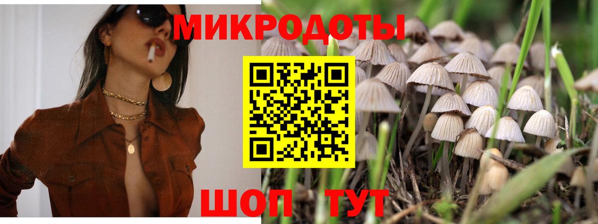Карталы  Псилоцибиновые грибы мухоморы  Вход с VPN 
